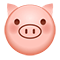 [猪]